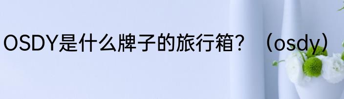 OSDY是什么牌子的旅行箱？（osdy）