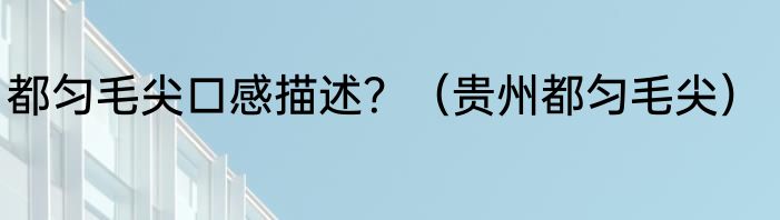 都匀毛尖口感描述？（贵州都匀毛尖）