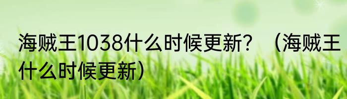 海贼王1038什么时候更新？（海贼王什么时候更新）