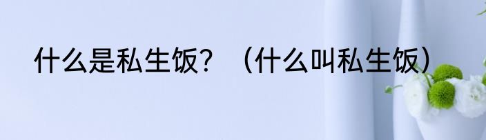 什么是私生饭？（什么叫私生饭）