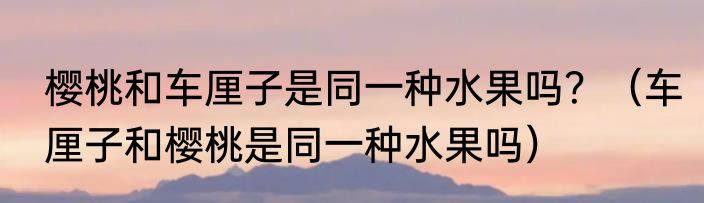 樱桃和车厘子是同一种水果吗？（车厘子和樱桃是同一种水果吗）