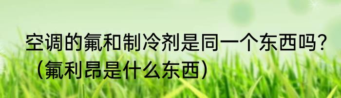 空调的氟和制冷剂是同一个东西吗？（氟利昂是什么东西）