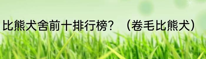 比熊犬舍前十排行榜？（卷毛比熊犬）