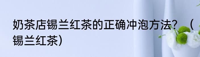 奶茶店锡兰红茶的正确冲泡方法？（锡兰红茶）