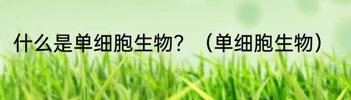 什么是单细胞生物？（单细胞生物）