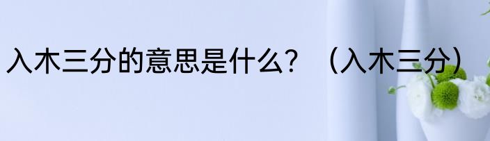 入木三分的意思是什么？（入木三分）