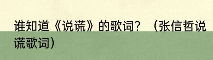 谁知道《说谎》的歌词？（张信哲说谎歌词）