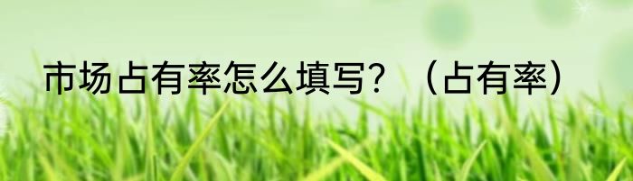 市场占有率怎么填写？（占有率）
