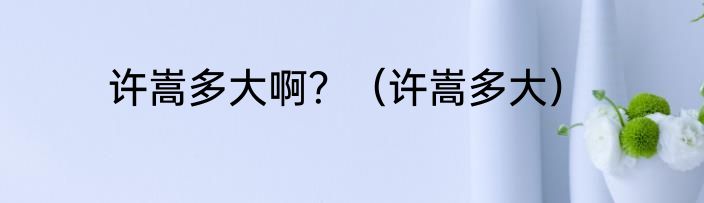 许嵩多大啊？（许嵩多大）