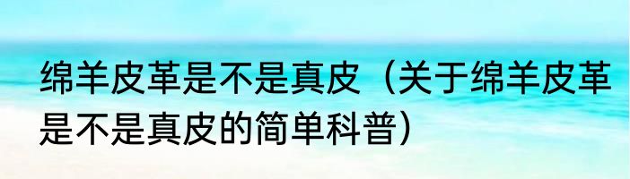 绵羊皮革是不是真皮（关于绵羊皮革是不是真皮的简单科普）