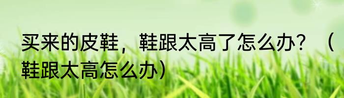 买来的皮鞋，鞋跟太高了怎么办？（鞋跟太高怎么办）