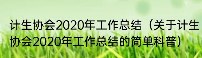 计生协会2020年工作总结（关于计生协会2020年工作总结的简单科普）