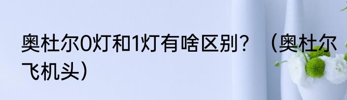 奥杜尔0灯和1灯有啥区别？（奥杜尔飞机头）