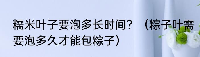 糯米叶子要泡多长时间？（粽子叶需要泡多久才能包粽子）