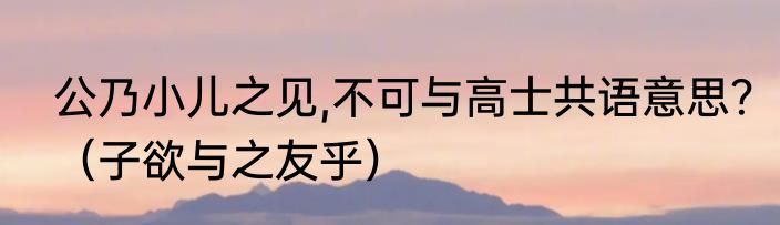 公乃小儿之见,不可与高士共语意思？（子欲与之友乎）