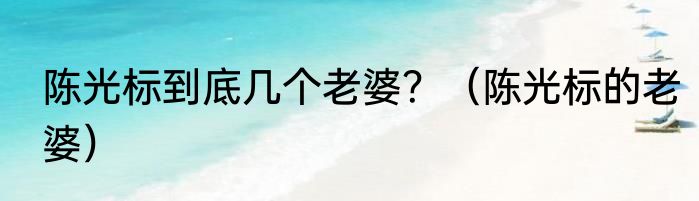 陈光标到底几个老婆？（陈光标的老婆）