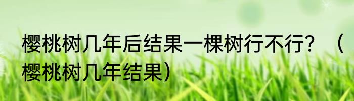 樱桃树几年后结果一棵树行不行？（樱桃树几年结果）