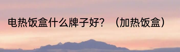 电热饭盒什么牌子好？（加热饭盒）