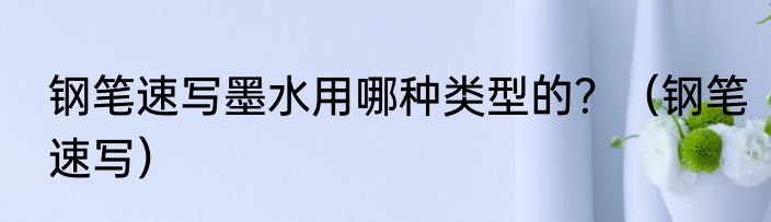 钢笔速写墨水用哪种类型的？（钢笔速写）