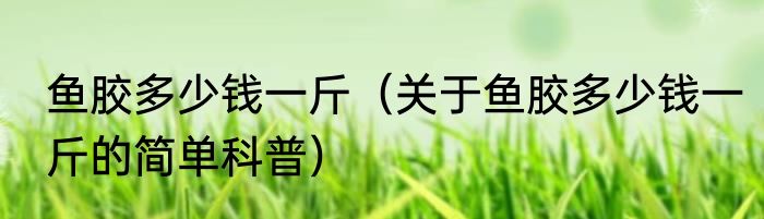 鱼胶多少钱一斤（关于鱼胶多少钱一斤的简单科普）