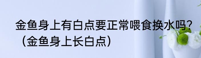 金鱼身上有白点要正常喂食换水吗？（金鱼身上长白点）