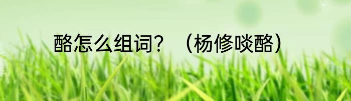 酪怎么组词？（杨修啖酪）