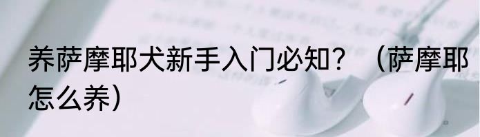 养萨摩耶犬新手入门必知？（萨摩耶怎么养）