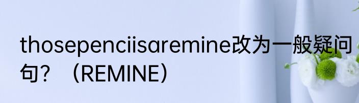 thosepenciisaremine改为一般疑问句？（REMINE）