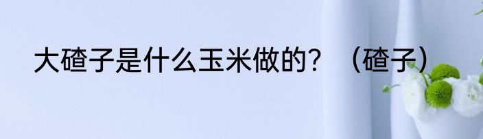 大碴子是什么玉米做的？（碴子）