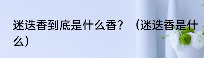 迷迭香到底是什么香？（迷迭香是什么）