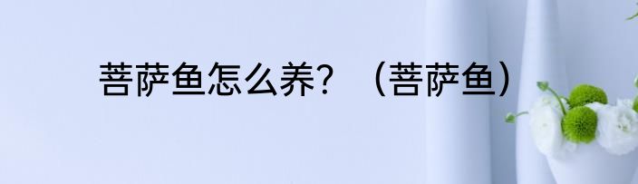 菩萨鱼怎么养？（菩萨鱼）