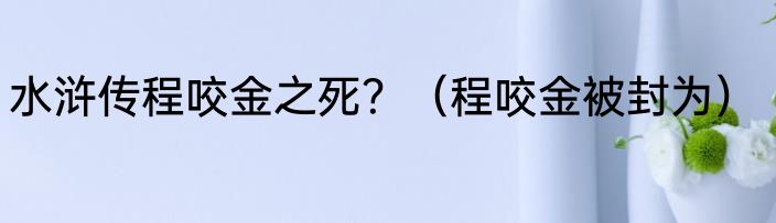 水浒传程咬金之死？（程咬金被封为）