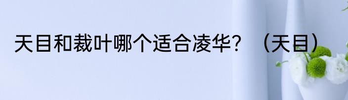 天目和裁叶哪个适合凌华？（天目）