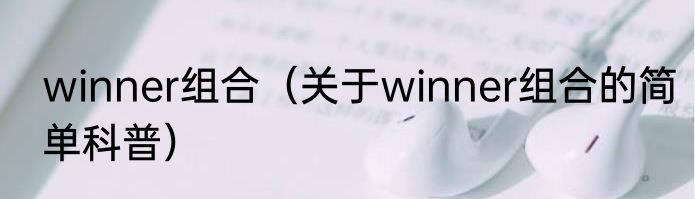 winner组合（关于winner组合的简单科普）