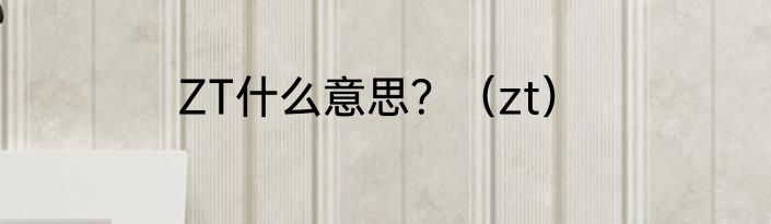 ZT什么意思？（zt）