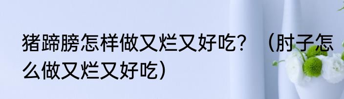 猪蹄膀怎样做又烂又好吃？（肘子怎么做又烂又好吃）