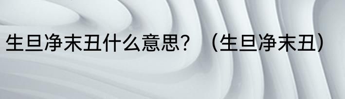 生旦净末丑什么意思？（生旦净末丑）