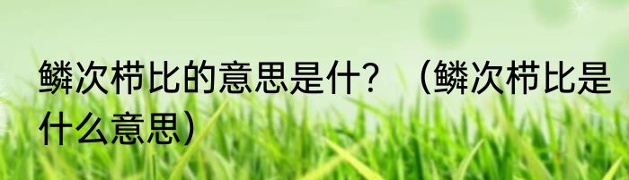 鳞次栉比的意思是什？（鳞次栉比是什么意思）