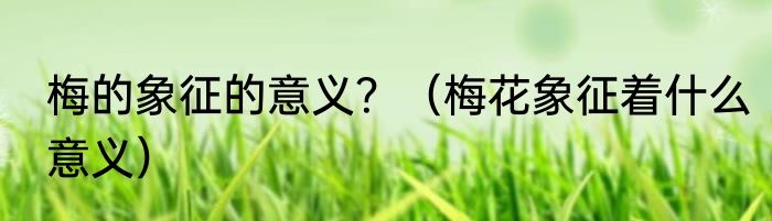 梅的象征的意义？（梅花象征着什么意义）