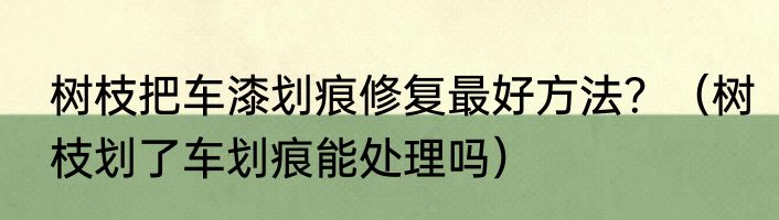 树枝把车漆划痕修复最好方法？（树枝划了车划痕能处理吗）