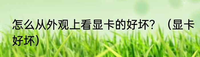 怎么从外观上看显卡的好坏？（显卡好坏）