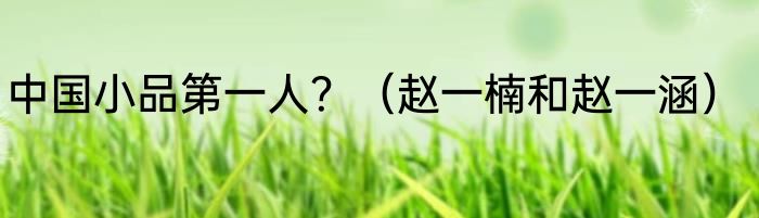 中国小品第一人？（赵一楠和赵一涵）