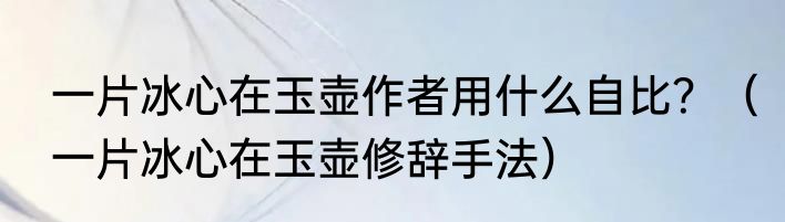一片冰心在玉壶作者用什么自比？（一片冰心在玉壶修辞手法）