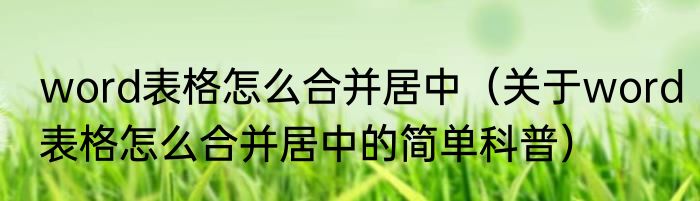 word表格怎么合并居中（关于word表格怎么合并居中的简单科普）