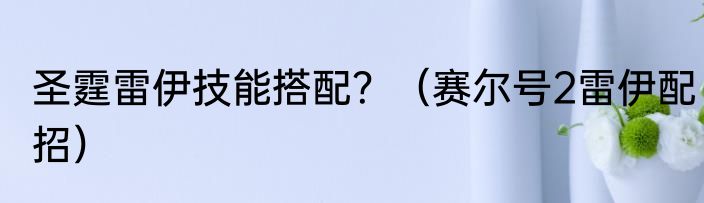 圣霆雷伊技能搭配？（赛尔号2雷伊配招）