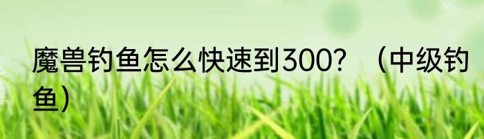魔兽钓鱼怎么快速到300？（中级钓鱼）