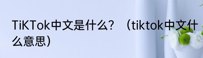 TiKTok中文是什么？（tiktok中文什么意思）