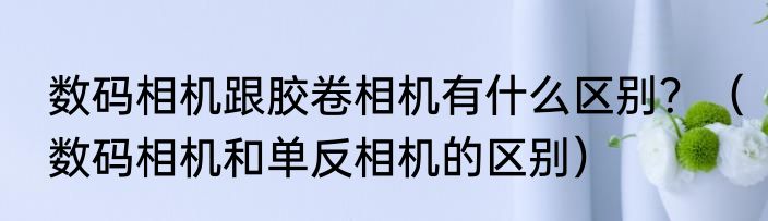 数码相机跟胶卷相机有什么区别？（数码相机和单反相机的区别）