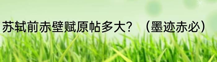 苏轼前赤壁赋原帖多大？（墨迹赤必）