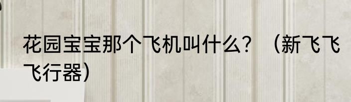 花园宝宝那个飞机叫什么？（新飞飞飞行器）